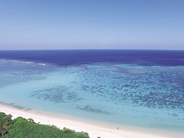 aragusukuimage